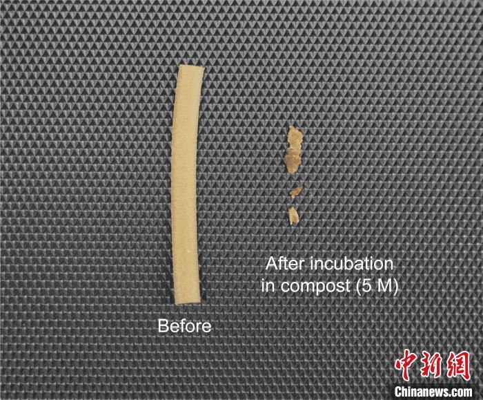 國際最新研究：“細菌吃塑料”或助力緩解全球塑料污染(图3)