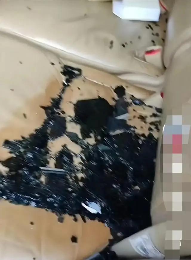 悲哀！多名学生多次砸豪车被抓戴塑料袋指认现场竟有多名女生(图2)