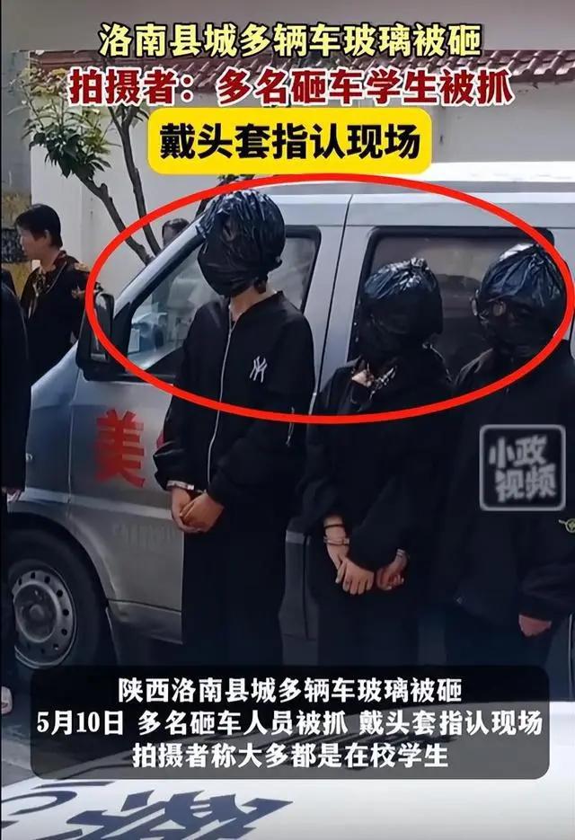 悲哀！多名学生多次砸豪车被抓戴塑料袋指认现场竟有多名女生(图3)