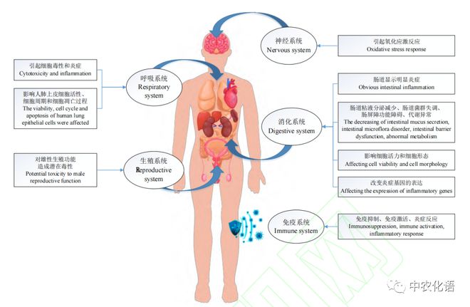 【科普】走近塑料(图3)