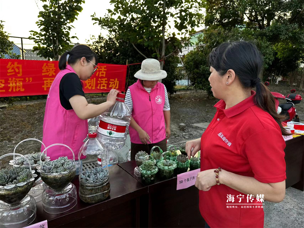 塑料空瓶可以换多肉！海宁这里的村民好幸福(图2)