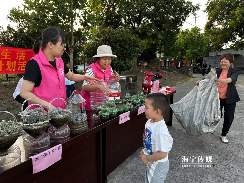 塑料空瓶可以换多肉！海宁这里的村民好幸福(图3)