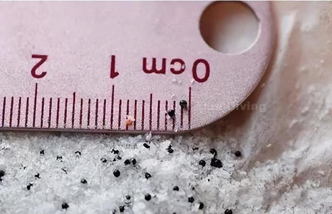 外媒：瓶装水含大量微塑料对人体有潜在危害！喝什么水才安全？(图7)