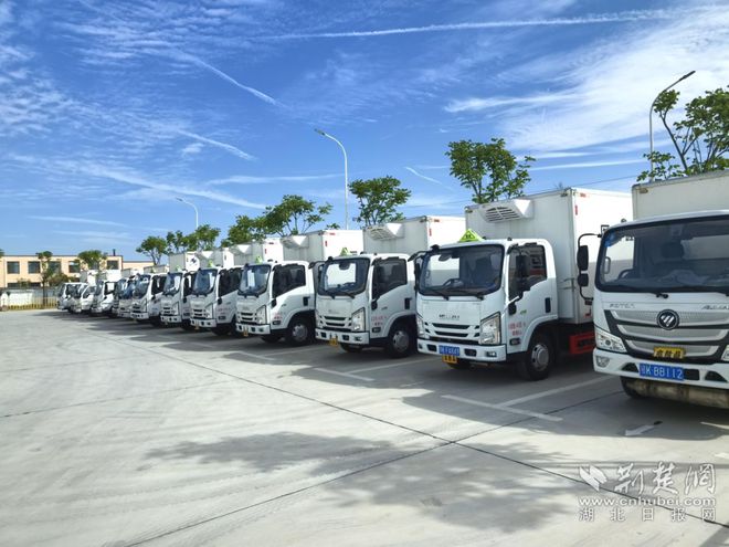 孝感市医废处置中心：每日5吨输液瓶变成纯净一级rPP塑料颗粒(图2)