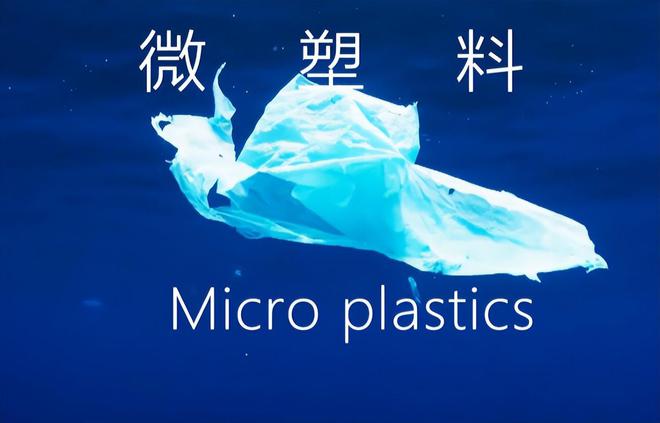 “微塑料”有多可怕？医生：这些物品是“祸首”能不用就不用！(图2)