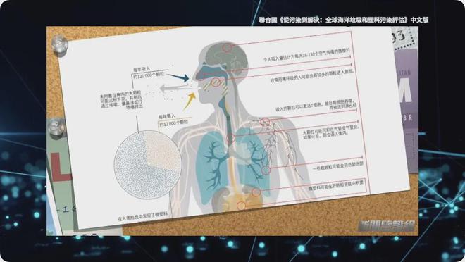 鉴证｜我们每天吃的塑料比饭都多？两小时入脑？顶级研究人员揭秘(图12)