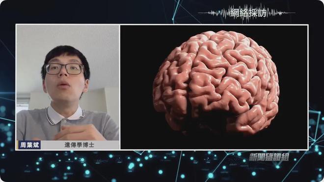 鉴证｜我们每天吃的塑料比饭都多？两小时入脑？顶级研究人员揭秘(图11)
