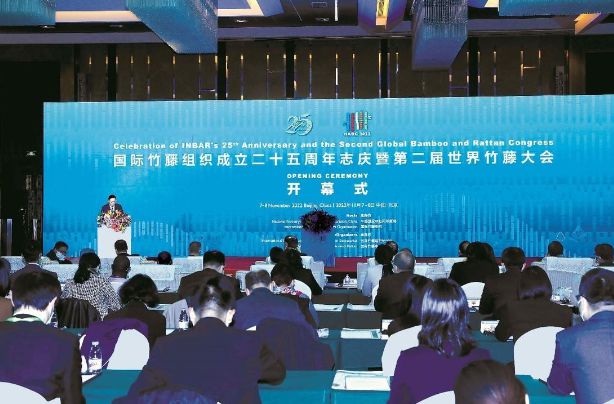 奶茶店、外卖店的一次性塑料之困？看“以竹代塑”如何破解！(图5)