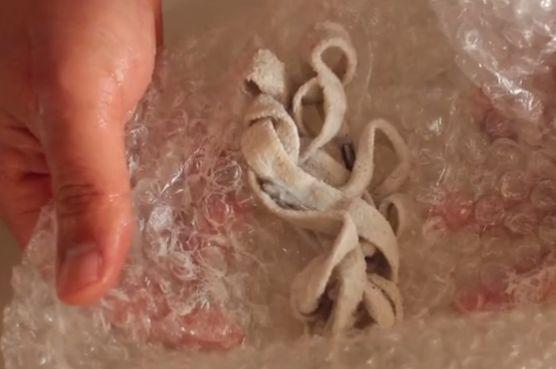 人人都把快递气泡膜当垃圾扔掉我家却拿它当宝贝用处太大了(图2)