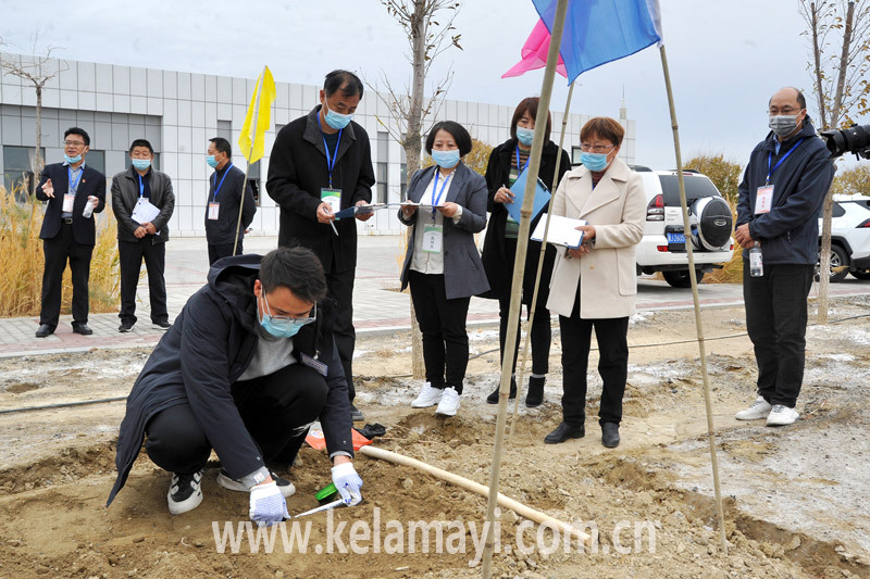 技能人才大比武竞技场上亮绝活(图5)