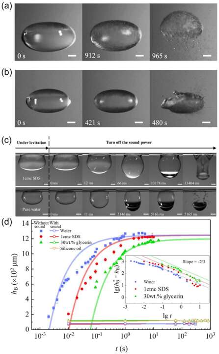高校诞生一吉尼斯世界纪录！“地面上最长寿”长达(图4)