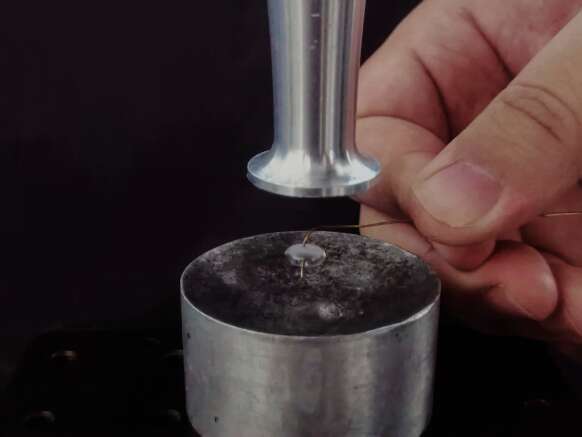 高校诞生一吉尼斯世界纪录！“地面上最长寿”长达(图2)