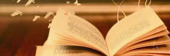 快递里的气泡膜别扔啦！放卫生间、厨房特实用一年能省不少钱！