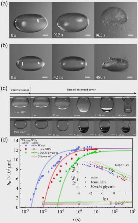 你想得到吗？“吹泡泡”吹出个世界纪录！(图3)
