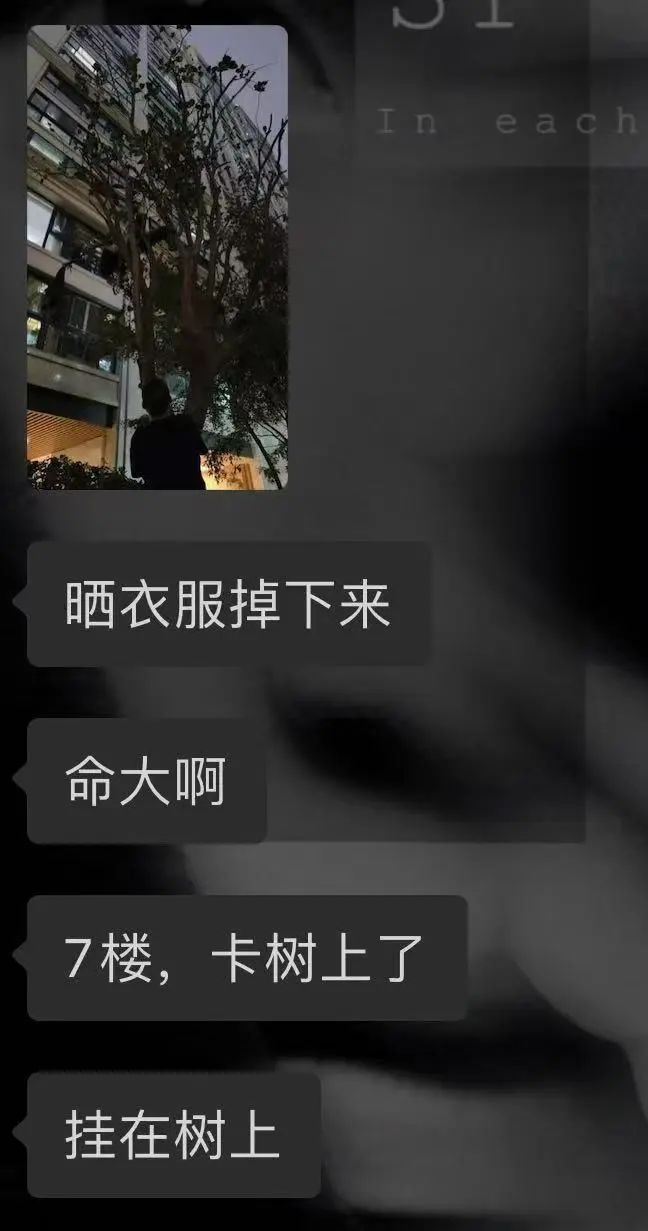 温州市区一女子高空坠楼悬挂在树上！(图2)