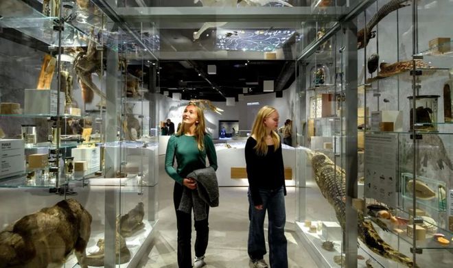 21个引人注目的展厅设计-深圳信可威