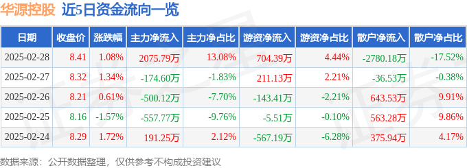 华源控股（002787）2月28日主力资金净买入207579万元