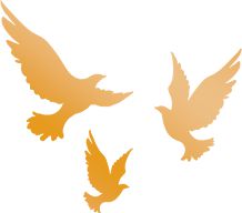 全国政协常委、国家邮政局原局长马军胜：快递向“绿”前行 重在系统治理协同治理丨聚焦国常会(图2)