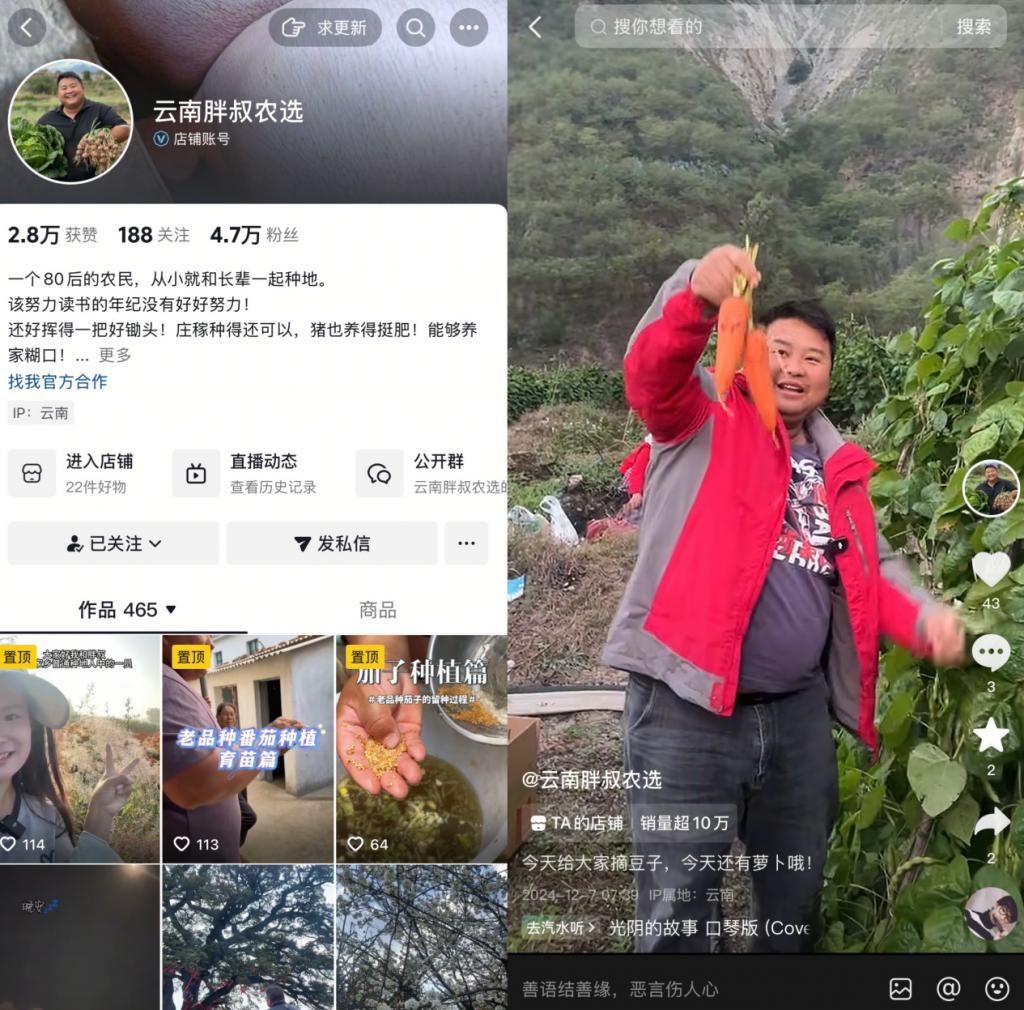 滇西农民的村播逆袭：“老”番茄找到新生意一年卖爆北上广(图1)