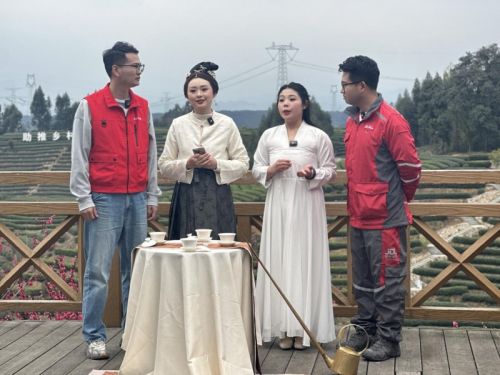非遗茶艺×现代物流：京东快递打造春茶出山“最快双通道”(图5)