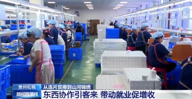 穷山沟→“金窝窝” 解锁集中连片特困地区的“新生密码”(图3)