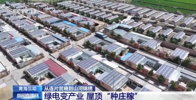 穷山沟→“金窝窝” 解锁集中连片特困地区的“新生密码”(图19)