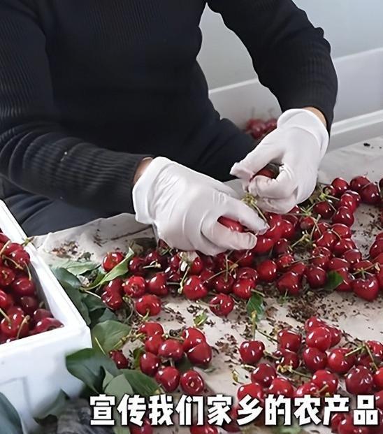 山东村书记宣传樱桃不惜扮丑吸引网友却被自己人背刺含泪道歉(图8)