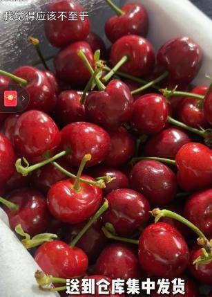 山东村书记宣传樱桃不惜扮丑吸引网友却被自己人背刺含泪道歉(图11)