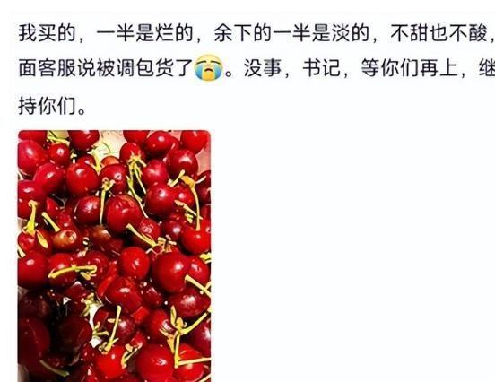 山东村书记宣传樱桃不惜扮丑吸引网友却被自己人背刺含泪道歉(图10)