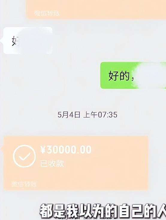 山东村书记宣传樱桃不惜扮丑吸引网友却被自己人背刺含泪道歉(图12)