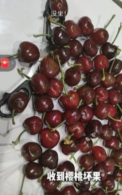 山东村书记宣传樱桃不惜扮丑吸引网友却被自己人背刺含泪道歉(图18)