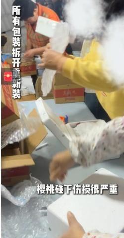 山东村书记宣传樱桃不惜扮丑吸引网友却被自己人背刺含泪道歉(图17)