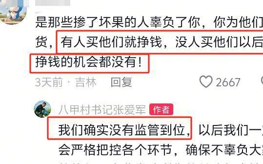山东村书记宣传樱桃不惜扮丑吸引网友却被自己人背刺含泪道歉(图21)