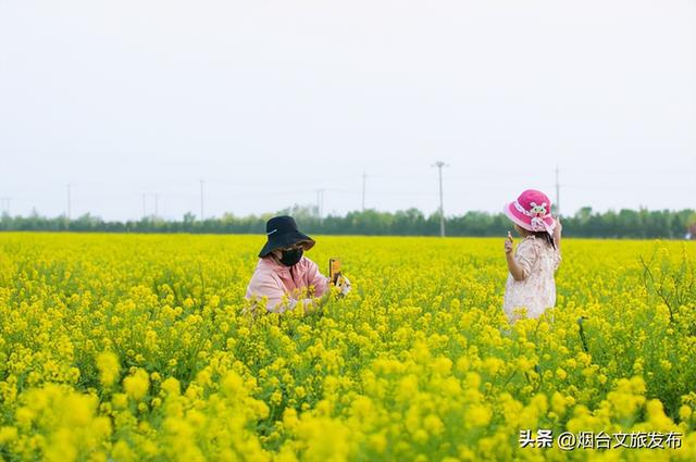 山海之间遇见青春之眼：烟台向世代发出光影邀约(图2)
