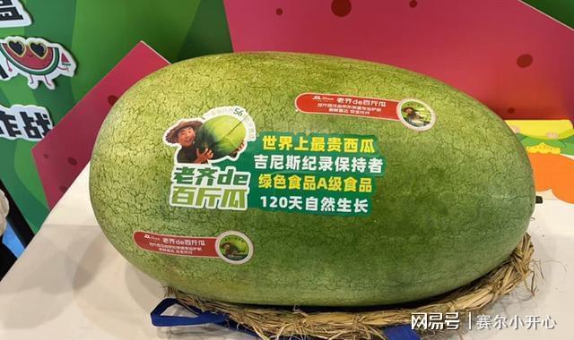 后天辽宁百斤瓜快递进村 全国尝鲜