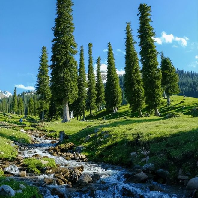 去新疆旅游七天如何规划路线日游纯玩不绕路行程攻略推荐(图2)