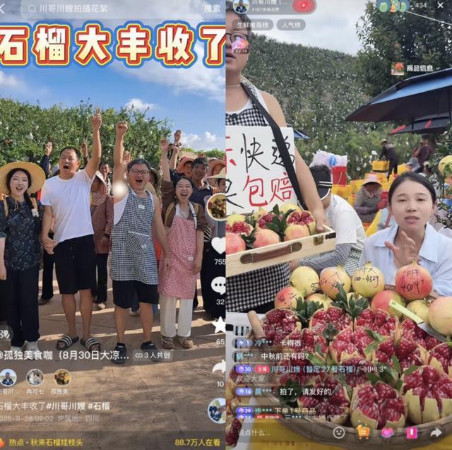 川渝 “水果猎人”共赴凉山之约：让会理石榴从直播间走出大山、甜了果农心