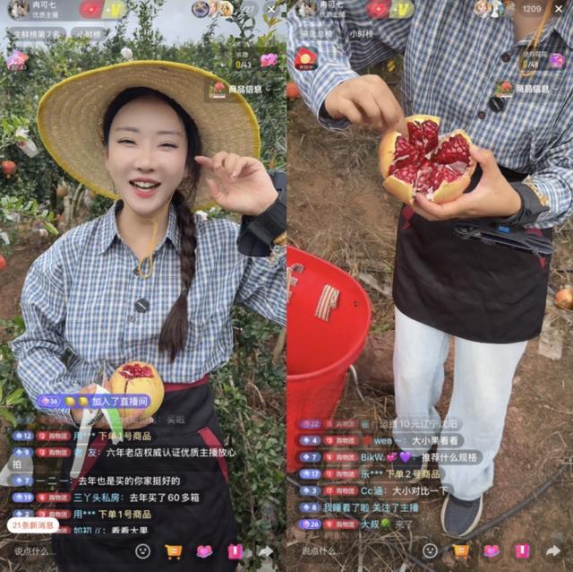 川渝 “水果猎人”共赴凉山之约：让会理石榴从直播间走出大山、甜了果农心(图3)
