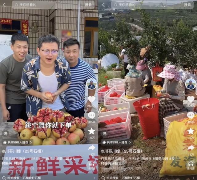川渝 “水果猎人”共赴凉山之约：让会理石榴从直播间走出大山、甜了果农心(图7)