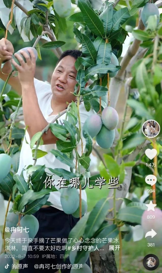 川渝 “水果猎人”共赴凉山之约：让会理石榴从直播间走出大山、甜了果农心(图6)
