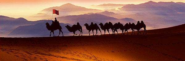 节能、环保、舒适、建筑安装简便快捷(图6)