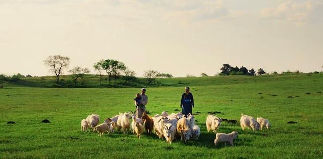 拼多多十年“拼”出时代答卷见证亿万用户的消费变迁(图4)