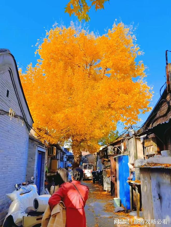 北京5天4晚怎么玩？超详细亲身经历分享看完就够了！(图2)