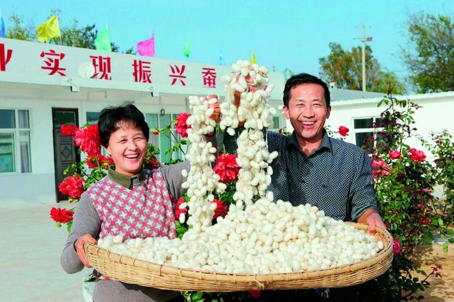 红色沃土育“青白”产业(图2)