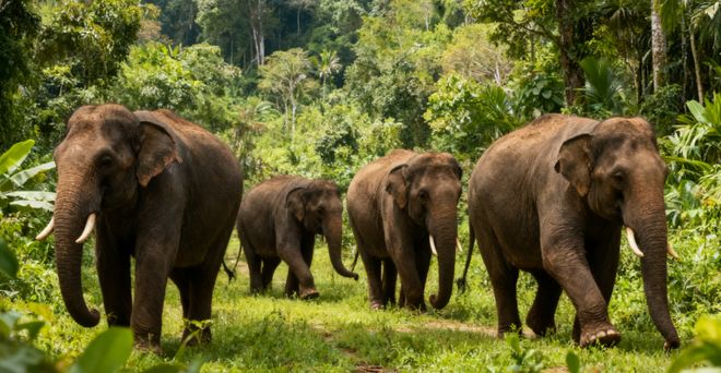 来云南玩这份旅游攻略含路线 天必玩路线推荐收藏(图4)