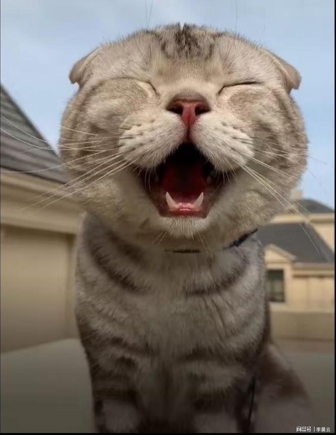 当代人离谱操作大赏