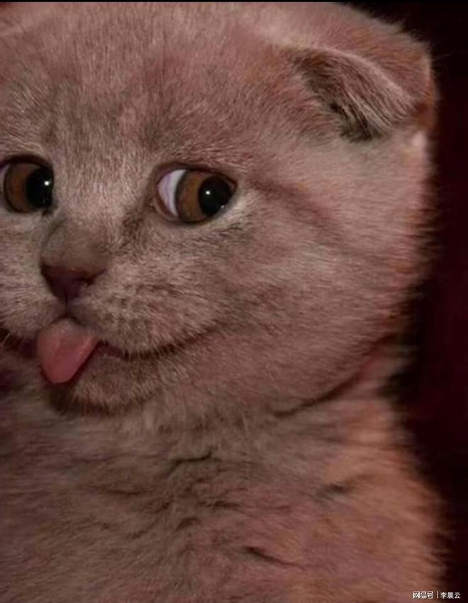 当代人离谱操作大赏(图2)