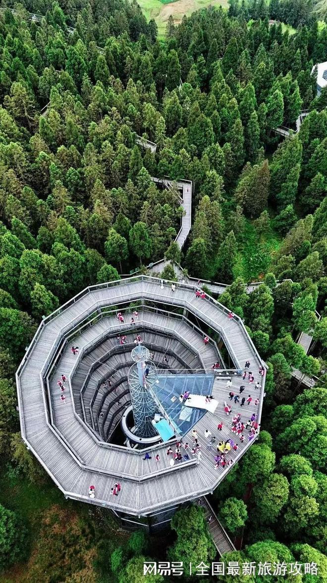 重庆4日跟团游费用800-1000元！景点全攻略+避坑指南(图3)