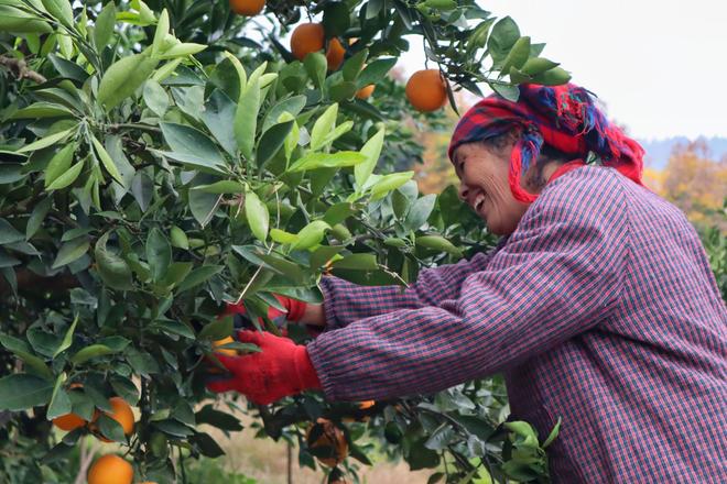 湖南邵阳：千年古城“万般变”