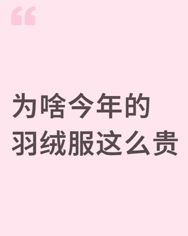 胖东来羽绒服72块利润打脸“羽绒服刺客”！2元自制充绒更火出圈(图21)